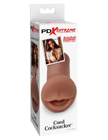 Coed cocksucker brown